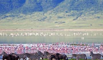 2 Day Tanzania Lodge Safari to Lake Manyara & Ngorongoro Crater Tour