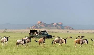 Circuito Safari de 4 días a Tarangire, Serengeti y Ngorongoro