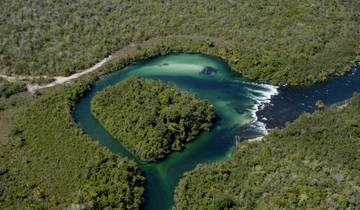 Rio de Janeiro and Amazon Rainforest Sustainable Experience Tour