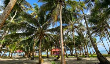 San Blas Yanis Insel Budget Erlebnis (4 Tage, 3 Nächte) Rundreise