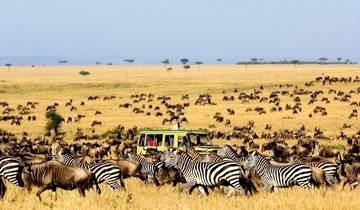 Safari camping à petit prix circuit