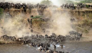 Safari de 7 días por el Serengeti, Tanzania