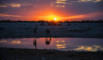 9 Day Tanzania Serengeti Great Migration Photography Safari Tour