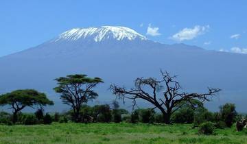 Mt. Kilimandscharo Marangu Route - 6 Tage