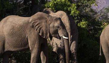 8 jours de safari spécial couples en Tanzanie circuit