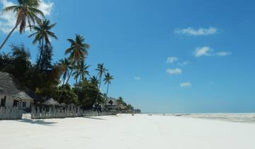 7 Dagen Tanzania Huwelijksreis Safari en Zanzibar Strand-rondreis