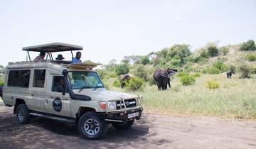 5 Days Tanzania Luxury Safari Tour