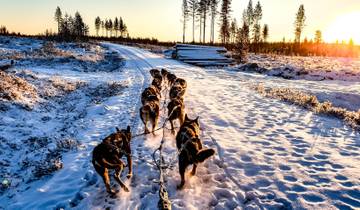 Holidays in Levi Ski Resort, Finnish Lapland Tour