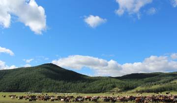 7 Day Mongolia Itinerary, incl. Ulaanbaatar and Kharkhorin
