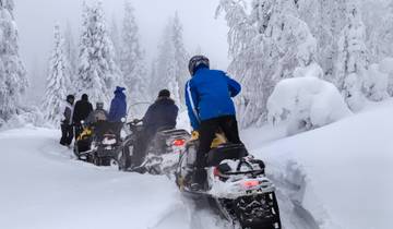 Lapland Winter Adventure
