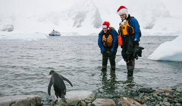 Ano Novo na Antártica