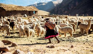 TRÉSORS INCAS - 6 JOURS