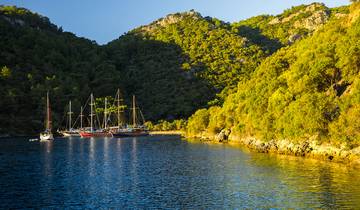 Turks genot - 8 dagen