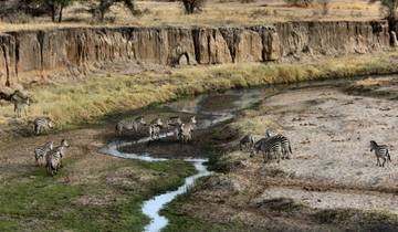 7 Days Best Safari in Ngorongoro Crater and Serengeti national park. Tour