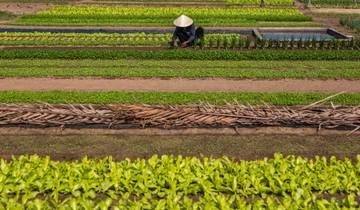 Vietnam Explorer For Teenagers - 12 days Tour