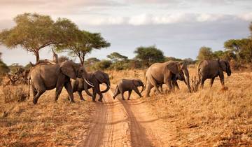 Tsavo East & Tsavo West 3days Wildlife Safari From Mombasa