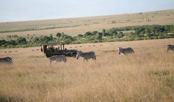 Safari de 6 días en lodge de lujo: Amboseli, Tsavo oeste, Tsavo este, Mombasa