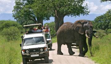 5-Day Tsavo East, Tsavo West & Amboseli Private Wildlife Luxury Safari Tour