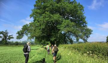 Best of the Cotswolds Self-Guided Walk