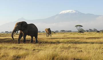 3-Day Amboseli National Park Safari - Mid-range