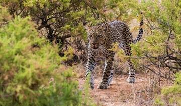 3 Days Samburu National Park Safari All Inclusive