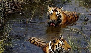 10-Day Wildlife Safaris in Central India from Jabalpur  Ending at  Temple Town of Khajurhao