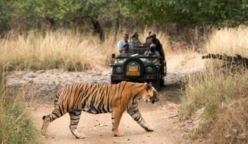5 Days Golden Triangle Tour with Ranthambore(Tigers and Taj Mahal Sunrise) Tour