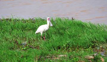 9 Days Explorer's Wildlife Kenya Safari