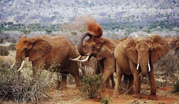 Safari de 3 jours à Amboseli et dans le parc national Tsavo West depuis Nairobi