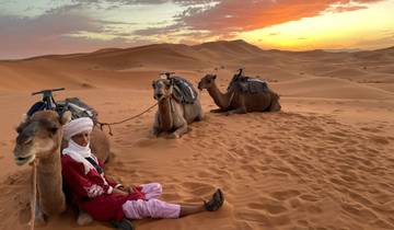 Morocco 11 Days Tour from Casablanca via Sahara Desert Tour