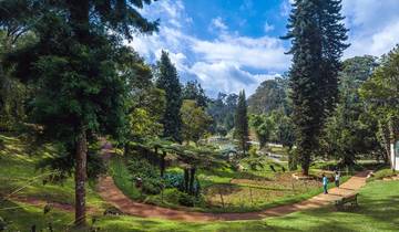 14 Day South India Itinerary, incl. Bangalore and Kerala