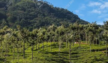 14 Day South India Itinerary, incl. Bangalore and Kerala