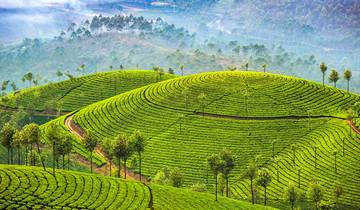 Viaje familiar personalizado de 15 días al sur de la India, con salida diaria y coche privado