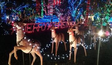 Christmas in Vancouver,Capilano Canyon Lights & Bright Night in Stanley Private