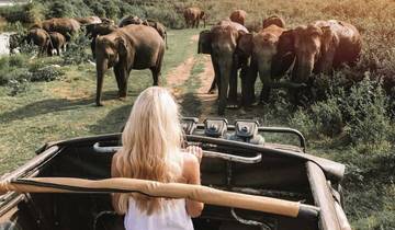 Wild and Divine in Sri Lanka Tour