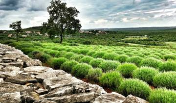 Trans MTB Istria | Mountain Biking Magic Istrian Peninsula | Croatia
