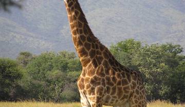 15 Day Western Zambia Itinerary, incl. Kafue and Livingstone