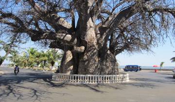 15 Day Western Zambia Itinerary, incl. Kafue and Livingstone