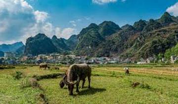 Explore Hanoi - Hagiang Loop - Halong bay 7 days 6 nights