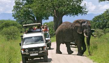 2-Day Tsavo East National Park Safari From Mombasa Tour
