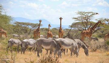 14-Days Kenya and Tanzania Camping Safari from Nairobi Tour