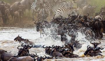 5days Hell's Gate, Lake Naivasha, Lake Nakuru & Masai Mara Mid-Range Lodge Safari