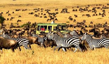 9-Days Best Kenya Family Wildlife Safari from Nairobi