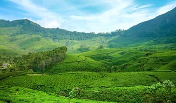 Escapade de Cochin à Munnar, Thekkady et Alleppey
