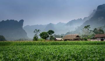 Het beste van Vietnam (13 bestemmingen)