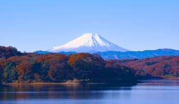 Essentieel Japan en Hakone (11 bestemmingen)-rondreis