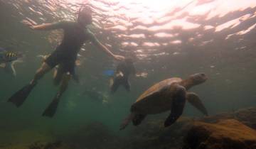 Circuito Experiencia Galápagos de isla en isla