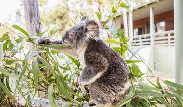 8 Day East Coast Australia Itinerary, incl. Sydney and Brisbane