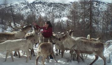 The Tsaatan Reindeer Herders Tour Tour