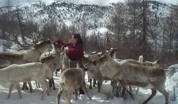 The Tsaatan Reindeer Herders Tour Tour